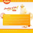 Политика конфиденциальности