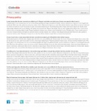 Политика конфиденциальности