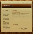 Связаться с Нами