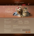 Связаться с Нами