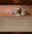 Политика конфиденциальности