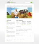 Связаться с Нами