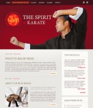 About Shotokan Karate
