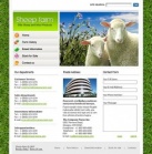 Связаться с Нами