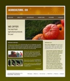 Наши услуги