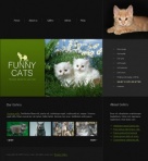 Gallery Of Cats And Kittens