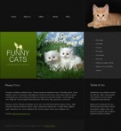 Политика конфиденциальности