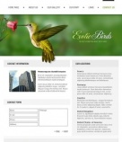 Связаться с Нами