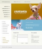 Связаться с Нами